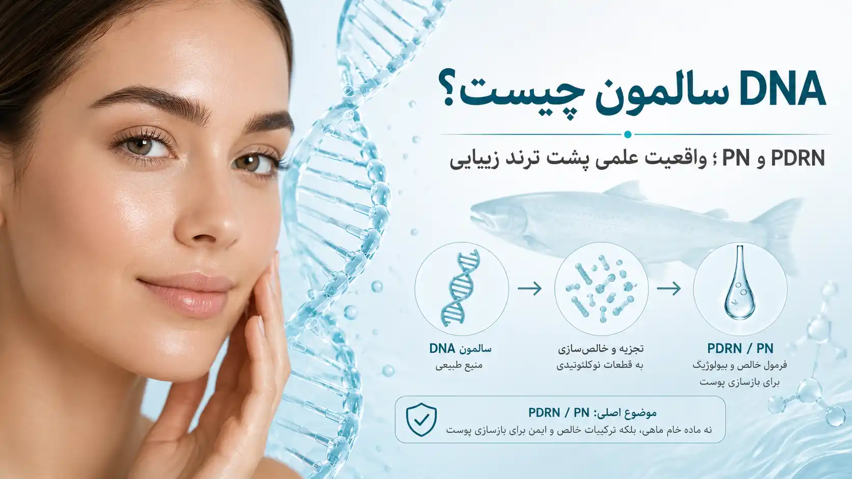 منظور از DNA سالمون چیست؟