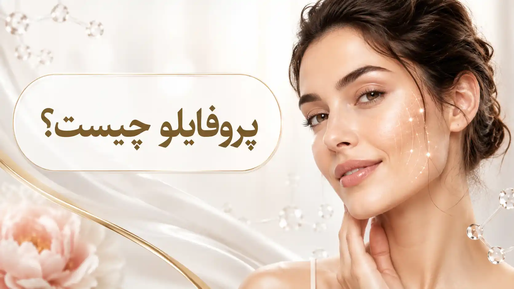 پروفایلو چیست؟